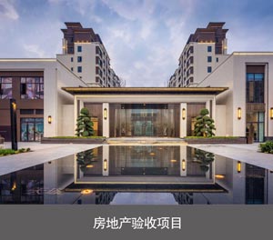 俯仰式停車寶簡易升降立體車庫房地產驗收項目